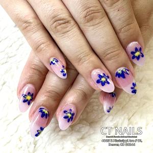 CT Nails | Nail salon Denver, CO 80246